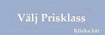 Olika vape-modeller i olika prisklasser – från 169 kronor